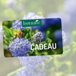 Carte cadeau botanic®