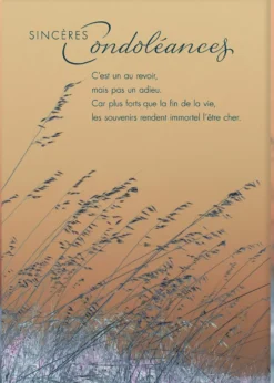 Carte double Sincères condoléances aux Éditions Pictura