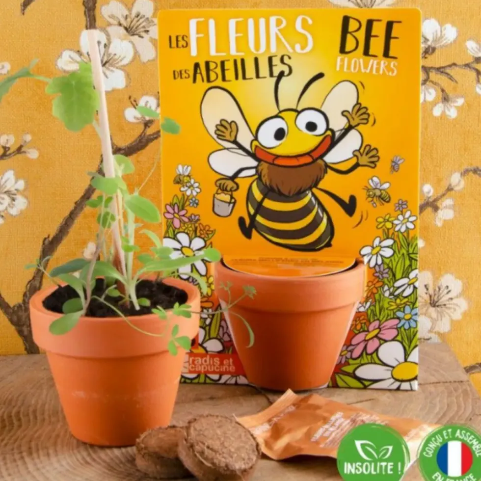 Carte nature avec mélange de fleurs à planter pour abeilles Radis & Capucine - 5 cm