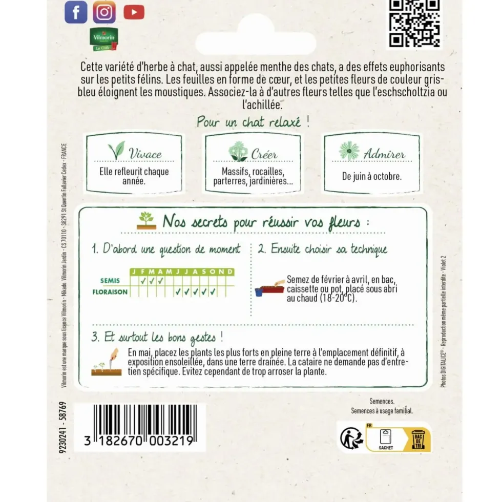 Cataire spéciale pour animaux Menthe des Chats Vilmorin - graines à semer