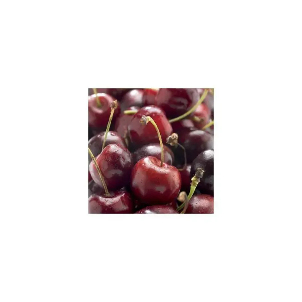 Cerisier Big. Bigalise ® Enjidel. En racine nue, forme gobelet