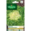 Chicorée Grosse Bouclée 2 Vilmorin - graines à semer
