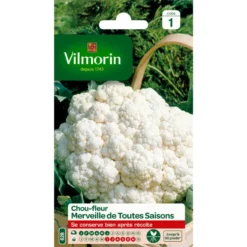 Chou-fleur Merveille de toutes saisons Vilmorin - graines à semer