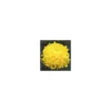Chrysanthème grosses fleurs - La coupe de 25-30 cm