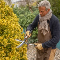 Cisaille à haie de 57 cm à lames crantées de couleur grise