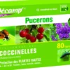 Coccinelles Adalia Bipunctata 80 larves