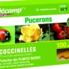 Coccinelles Septempunctata 100 oeufs