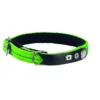 Collier chat Lost vert taille XS