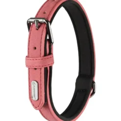Collier chien Delu rose 52/62 x 3 cm