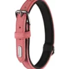 Collier chien Delu rouge 20/25 x 1 cm