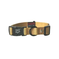 Collier chien réglable 20mm / 40-55cm beige