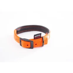 Collier droit Confort pour chien coloris orange - 2,5x55 cm