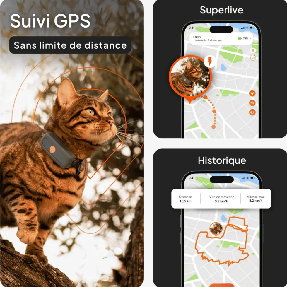 Collier GPS pour chat coloris blanc Weenect