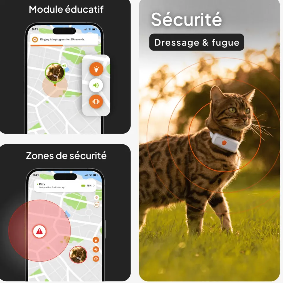 Collier GPS pour chat coloris blanc Weenect