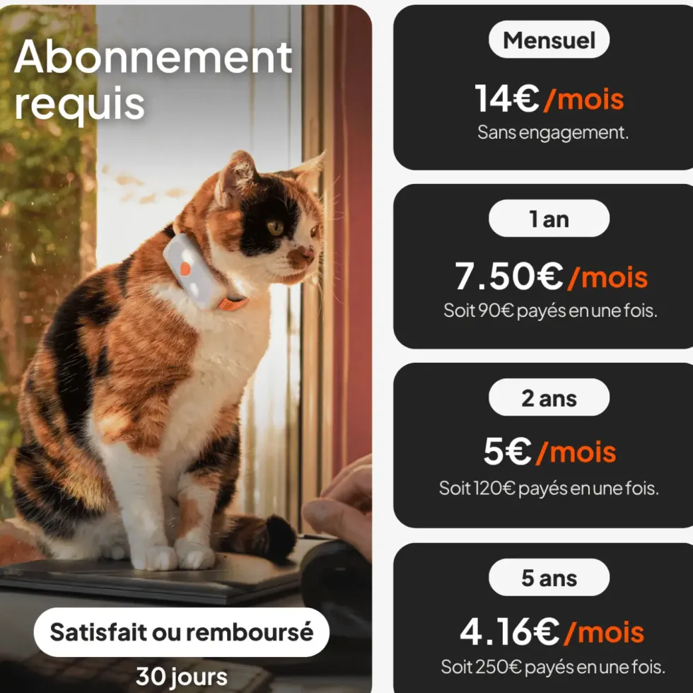 Collier GPS pour chat coloris blanc Weenect
