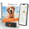 Collier GPS pour chien coloris noir Weenect