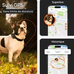 Collier GPS pour chien coloris noir Weenect