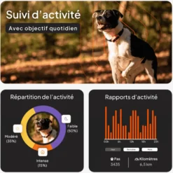 Collier GPS pour chien coloris noir Weenect