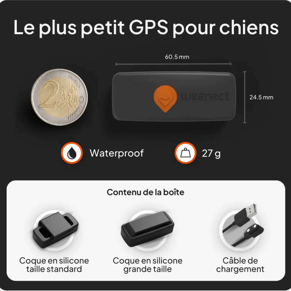 Collier GPS pour chien coloris noir Weenect
