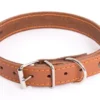 Collier pour chien en cuir coloris cognac orange Martin Sellier Flash - taille 22/47