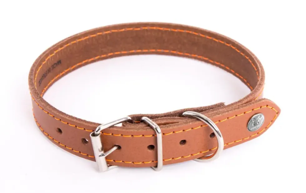 Collier pour chien en cuir coloris cognac orange Martin Sellier Flash - taille 22/47