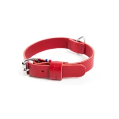 Collier pour chien en cuir coloris rouge cousu Martin Sellier 499 - Taille 35/70