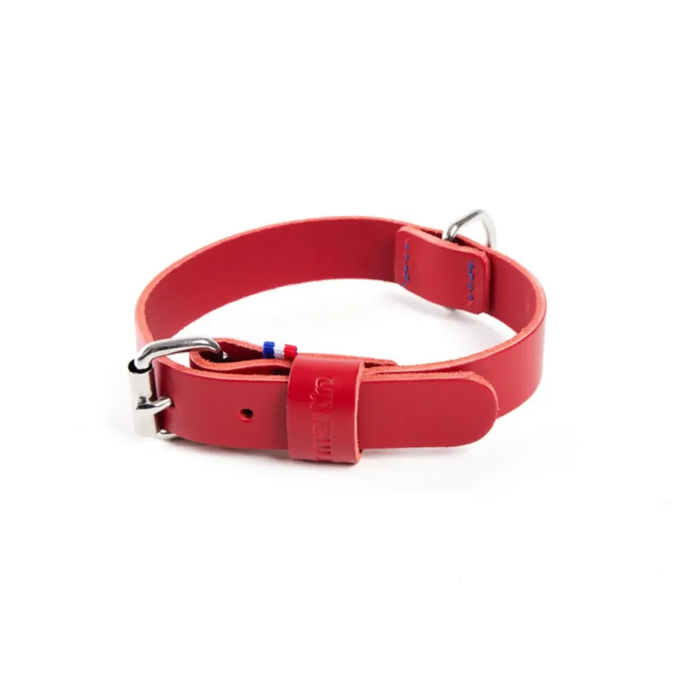 Collier pour chien en cuir coloris rouge cousu Martin Sellier 499 - Taille 35/70