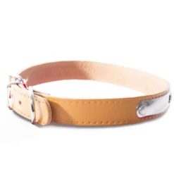 Collier pour chien en cuir coloris marron Martin Sellier Rive - Taille 20/50