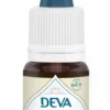 Complément alimentaire fleur de Bach bruyère bio Deva - 15 ml