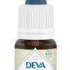 Complément alimentaire fleur de Bach gentiane bio Deva - 15 ml