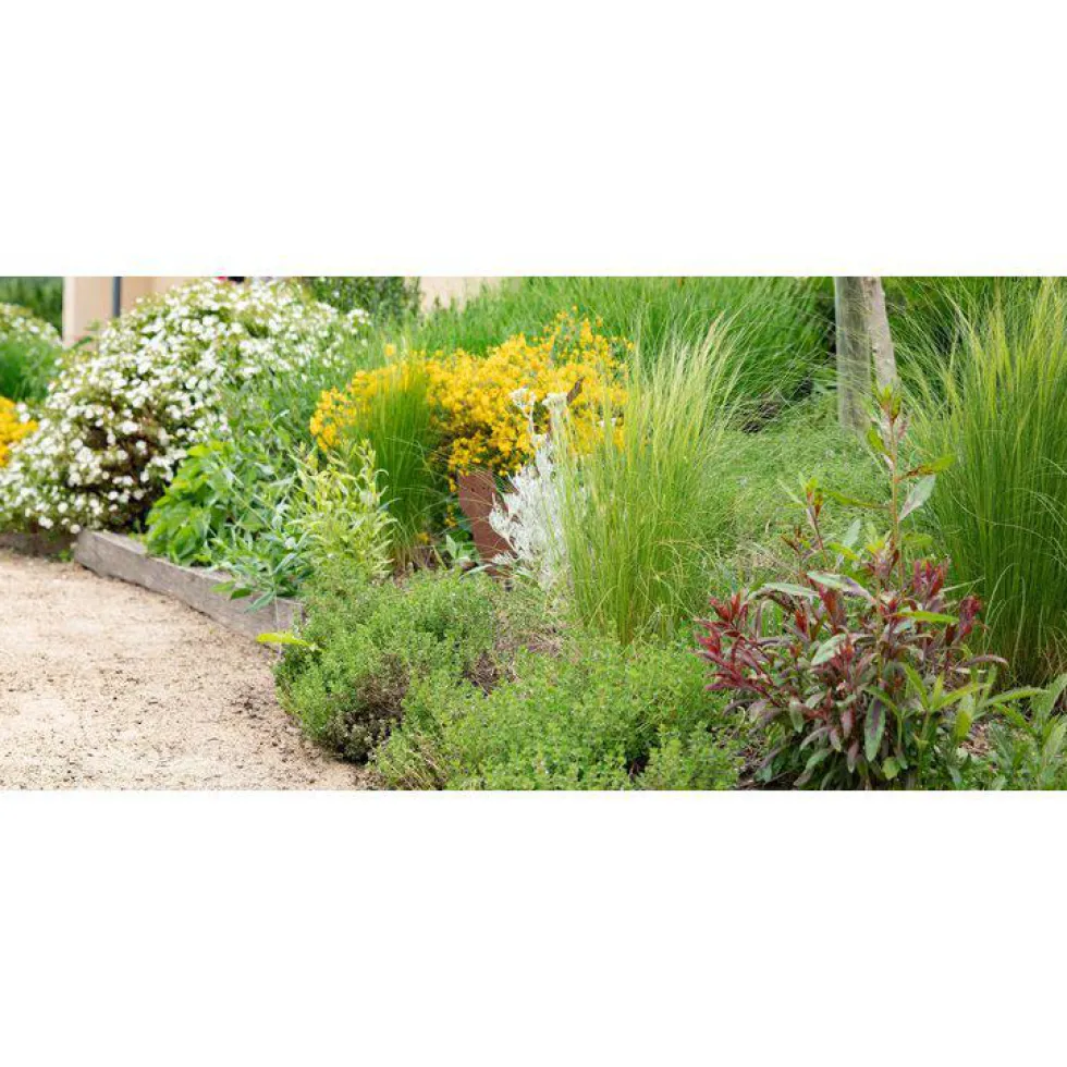 Écorce de pin maritime 20/40 mm botanic® - 60 L