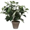Cordyline artificielle en pot Stan gris Mica Décorations - Ø 11,5/25 cm x 35 cm