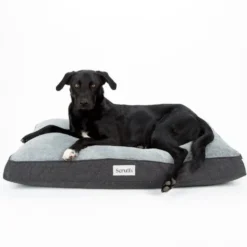 Couchage orthopédique pour chien coloris gris Scruffs Harvard - Taille L 100 x 70 x 12 cm