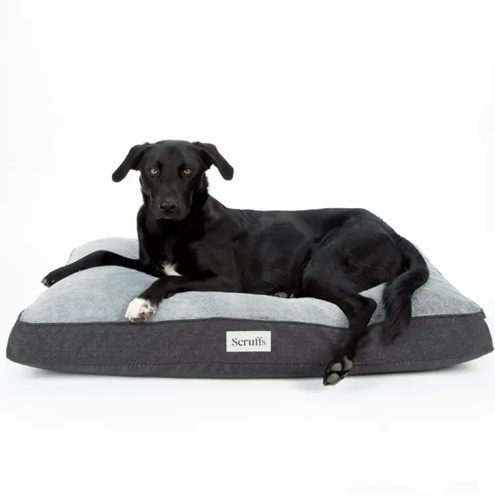 Couchage orthopédique pour chien coloris gris Scruffs Harvard - Taille L 100 x 70 x 12 cm