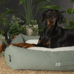 Couchage pour chien coloris vert corbeille Scruffs Eco Eden - Taille XL 90 x 70 cm
