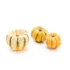 Courge Patidou bio de France - Prix à la pièce