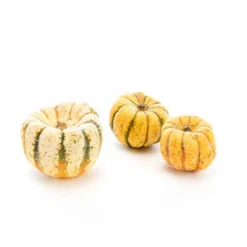 Courge Patidou bio de France - Prix à la pièce