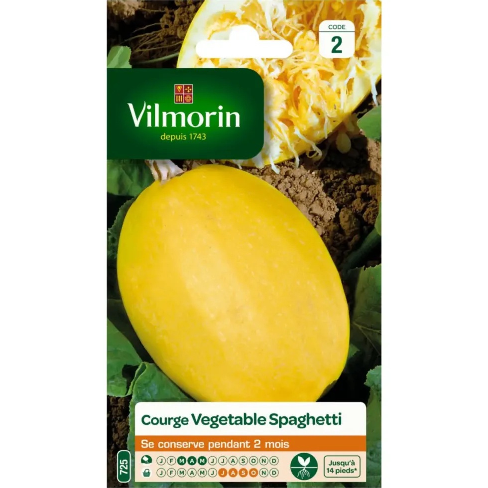 Courge Spaghetti Vilmorin - graines à semer