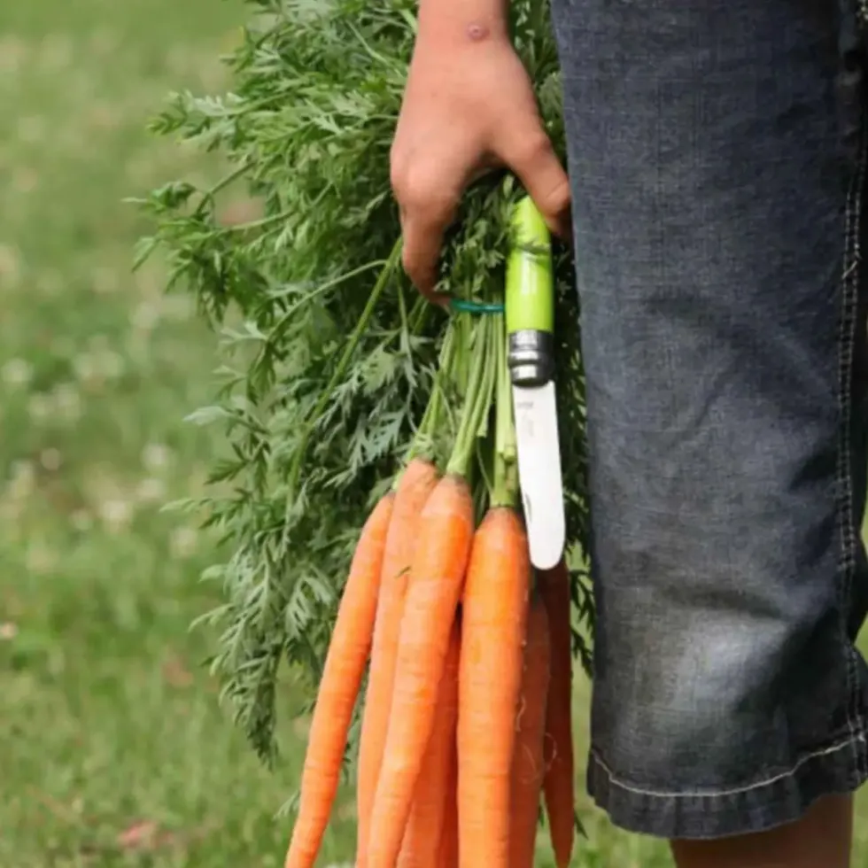 Couteau Mon Premier Opinel coloris vert n°7 Opinel