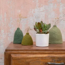 Crassula mix en pot émaillé blanc Ø 10 cm
