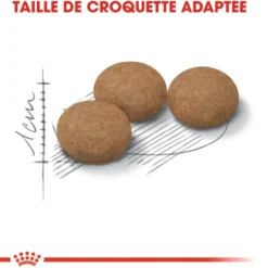 Croquette pour chat mature stérilisé Royal Canin - 2 kg