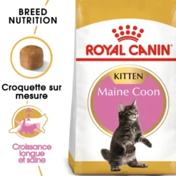 Croquette pour chaton et chatte adulte en gestation Maine Coon Royal Canin - 2 kg