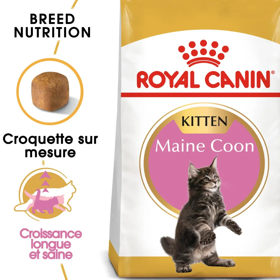 Croquette pour chaton et chatte adulte en gestation Maine Coon Royal Canin - 2 kg