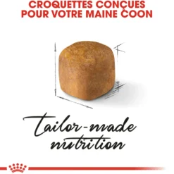 Croquette pour chaton et chatte adulte en gestation Maine Coon Royal Canin - 2 kg