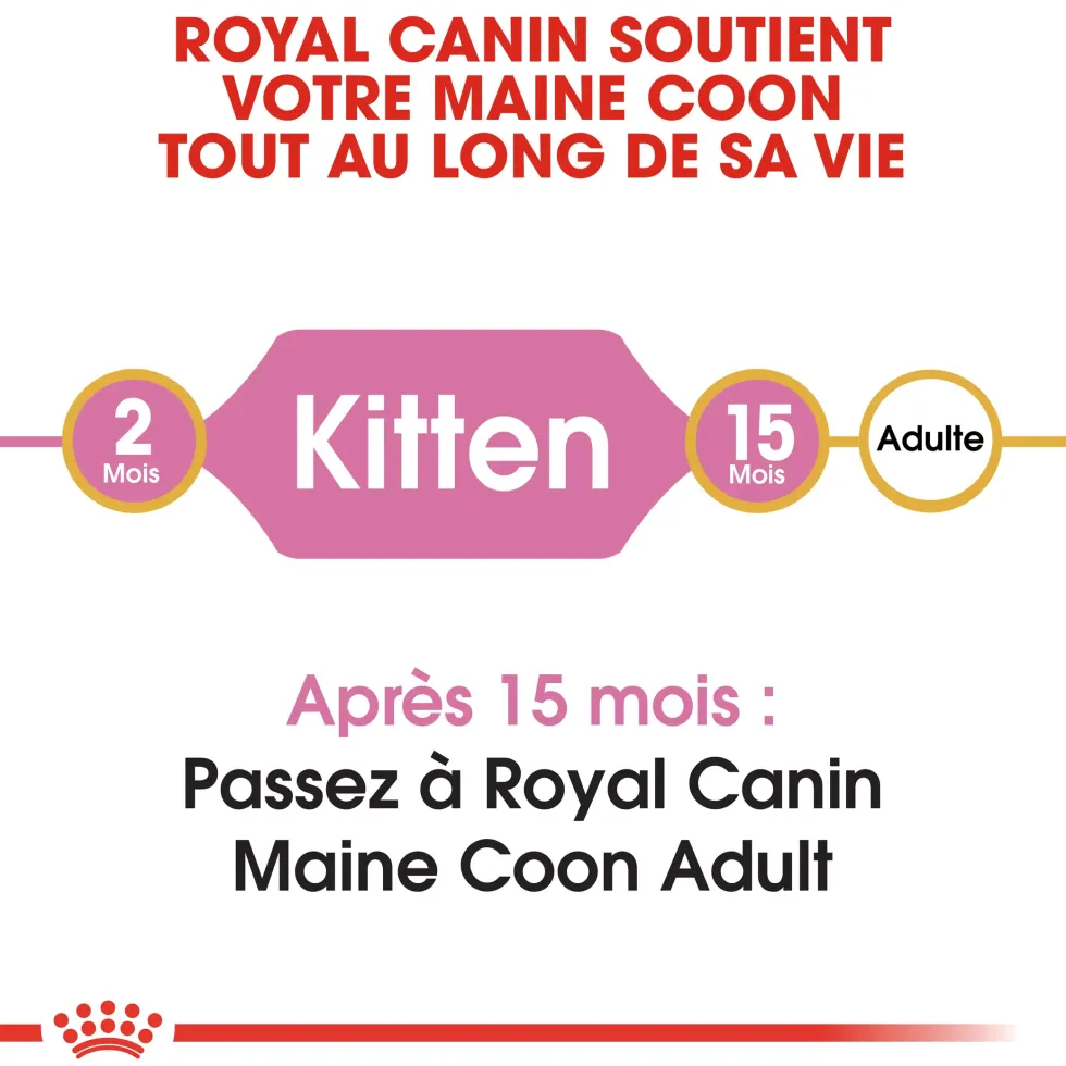 Croquette pour chaton et chatte adulte en gestation Maine Coon Royal Canin - 2 kg