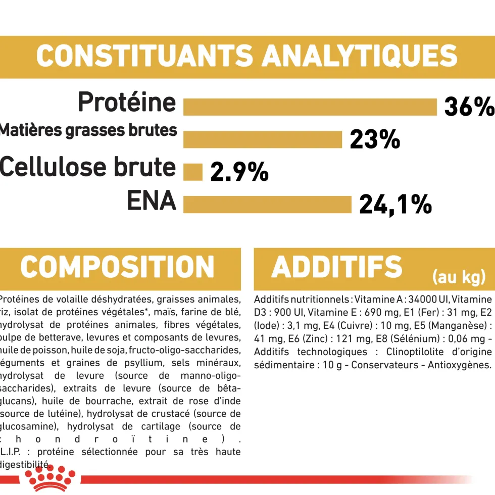 Croquette pour chaton et chatte adulte en gestation Maine Coon Royal Canin - 2 kg