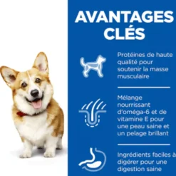 Croquette pour chien adulte de petite taille au poulet Hill's - 6 kg