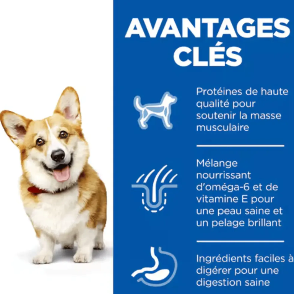 Croquette pour chien adulte de petite taille au poulet Hill's - 6 kg