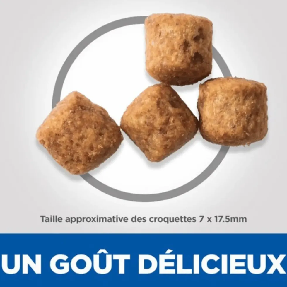 Croquette pour chien mature grande race au poulet Hill's - 12 kg