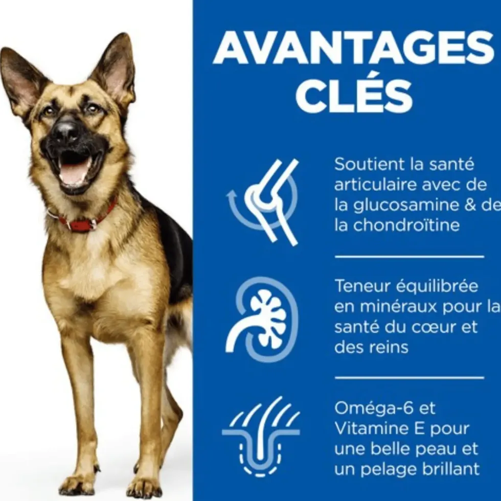Croquette pour chien mature grande race au poulet Hill's - 12 kg